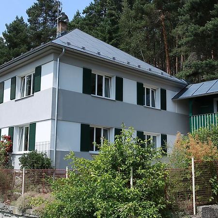 Apartments Michovka Koberovy Exterior photo